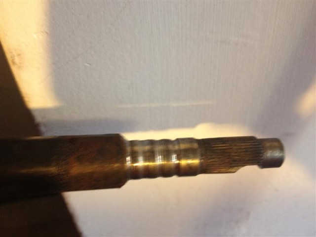 julio012 024 (Medium).jpg